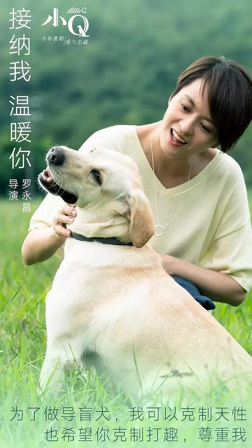 加州大学 Market Development Diploma